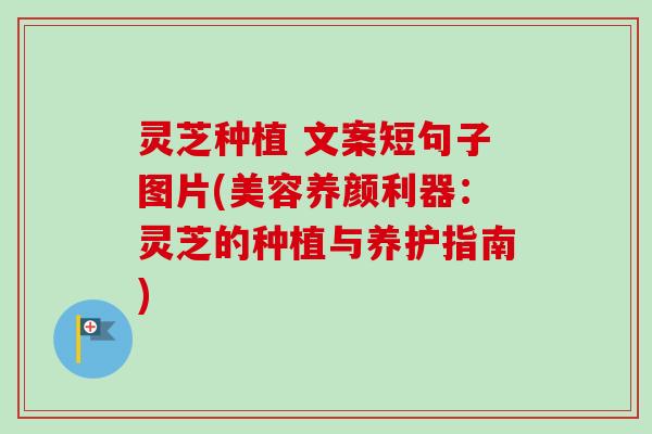 灵芝种植 文案短句子图片(美容养颜利器：灵芝的种植与养护指南)