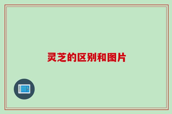 灵芝的区别和图片