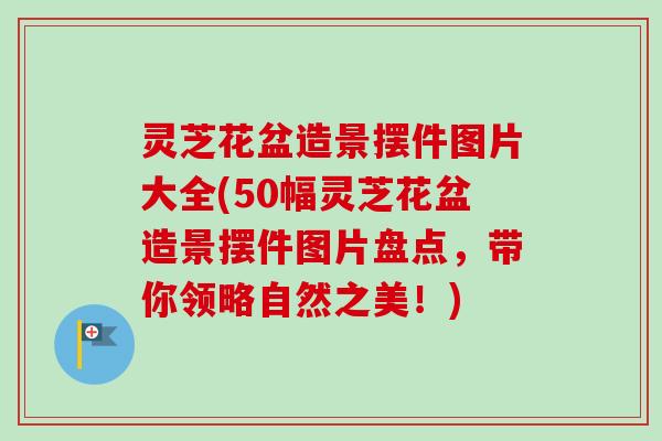 灵芝花盆造景摆件图片大全(50幅灵芝花盆造景摆件图片盘点，带你领略自然之美！)