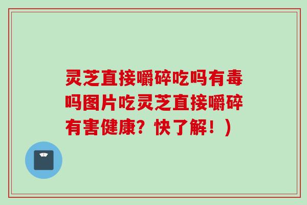 灵芝直接嚼碎吃吗有毒吗图片吃灵芝直接嚼碎有害健康？快了解！)