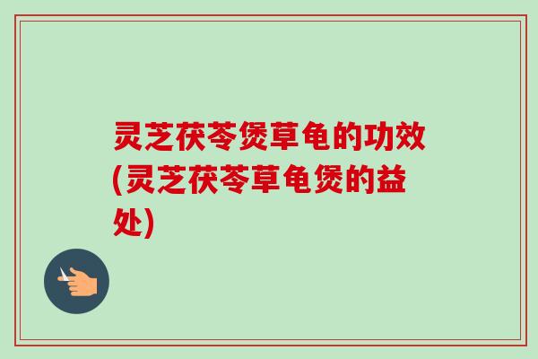 灵芝茯苓煲草龟的功效(灵芝茯苓草龟煲的益处)