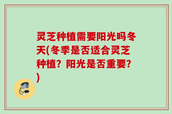 灵芝种植需要阳光吗冬天(冬季是否适合灵芝种植？阳光是否重要？)