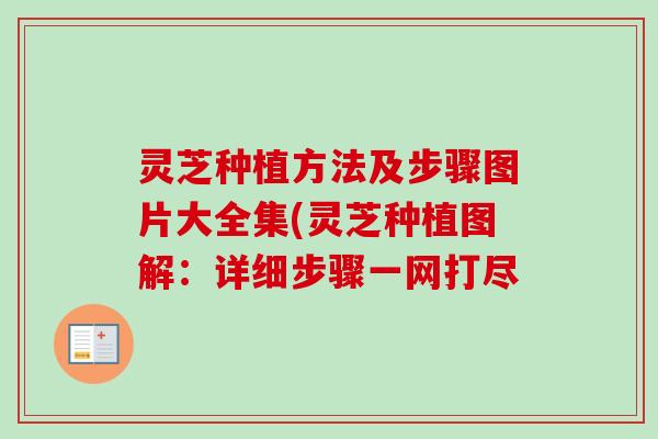 灵芝种植方法及步骤图片大全集(灵芝种植图解:详细步骤一网打尽 灵芝种植方法及步骤图片大全集(灵芝种植图解:详细步骤一网打尽