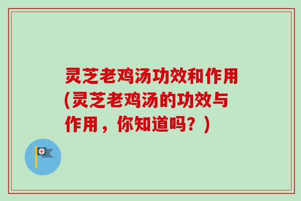灵芝老鸡汤功效和作用(灵芝老鸡汤的功效与作用，你知道吗？)