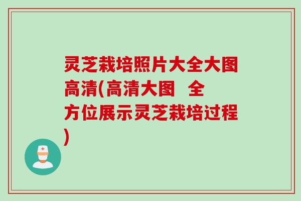 灵芝栽培照片大全大图高清(高清大图  全方位展示灵芝栽培过程)