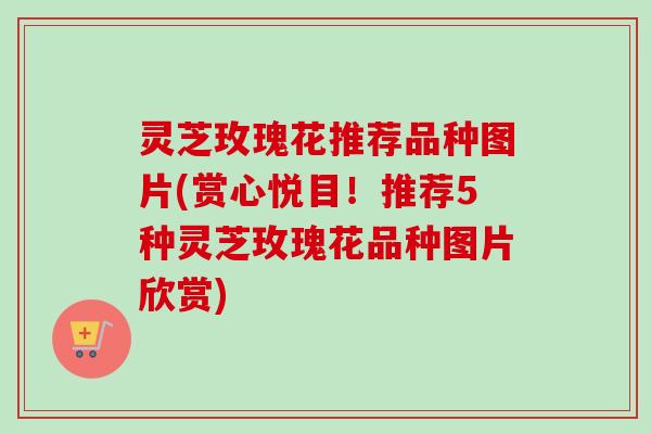 灵芝玫瑰花推荐品种图片(赏心悦目！推荐5种灵芝玫瑰花品种图片欣赏)