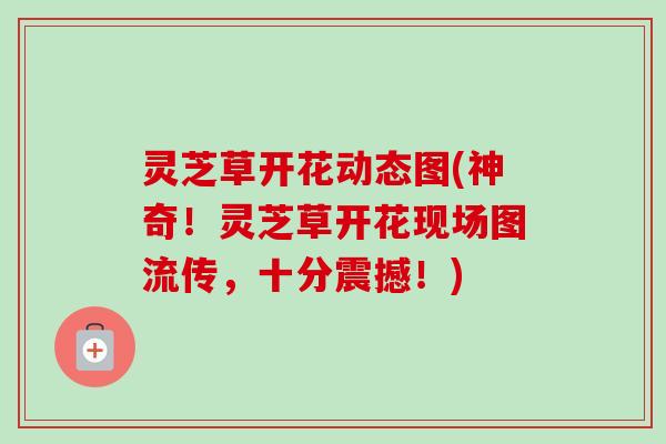 灵芝草开花动态图(神奇！灵芝草开花现场图流传，十分震撼！)