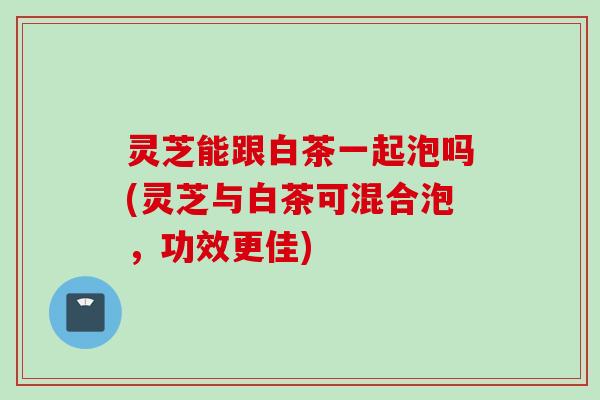灵芝能跟白茶一起泡吗(灵芝与白茶可混合泡，功效更佳)