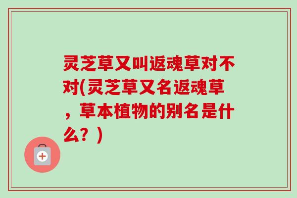 灵芝草又叫返魂草对不对(灵芝草又名返魂草，草本植物的别名是什么？)