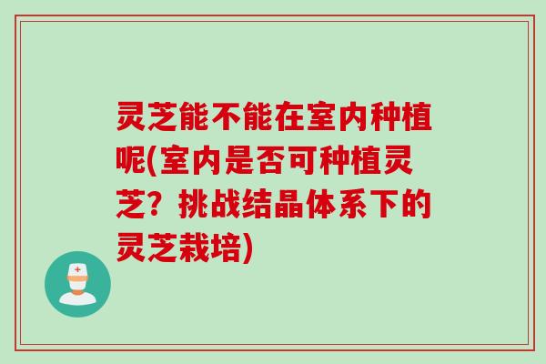 灵芝能不能在室内种植呢(室内是否可种植灵芝？挑战结晶体系下的灵芝栽培)