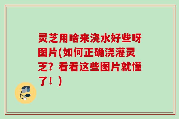 灵芝用啥来浇水好些呀图片(如何正确浇灌灵芝？看看这些图片就懂了！)