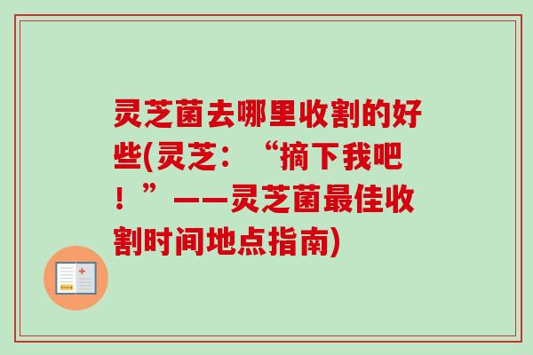 灵芝菌去哪里收割的好些(灵芝：“摘下我吧！”——灵芝菌最佳收割时间地点指南)