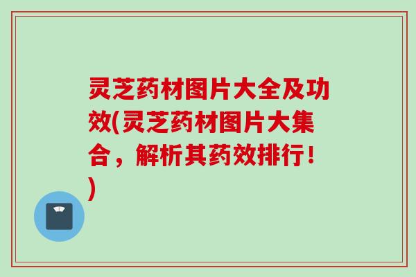 灵芝药材图片大全及功效(灵芝药材图片大集合，解析其药效排行！)