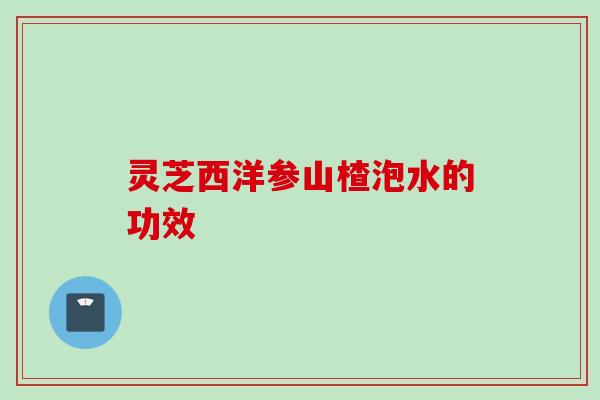 灵芝西洋参山楂泡水的功效