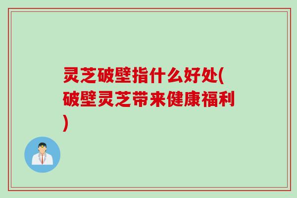 灵芝破壁指什么好处(破壁灵芝带来健康福利)