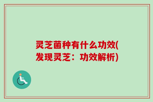 灵芝菌种有什么功效(发现灵芝：功效解析)