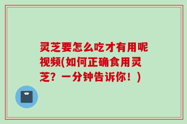 灵芝要怎么吃才有用呢视频(如何正确食用灵芝？一分钟告诉你！)