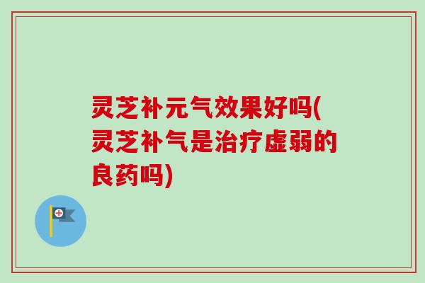灵芝补元气效果好吗(灵芝是虚弱的良药吗)