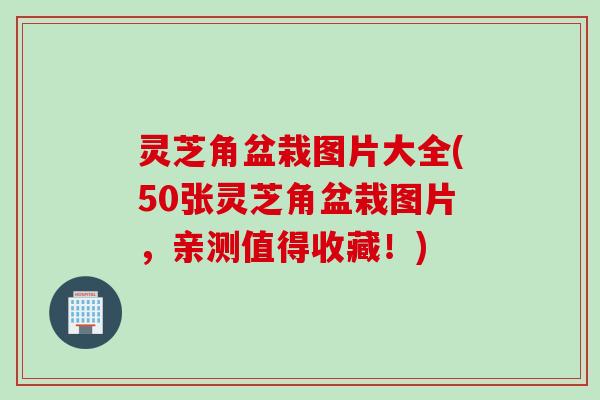 灵芝角盆栽图片大全(50张灵芝角盆栽图片，亲测值得收藏！)