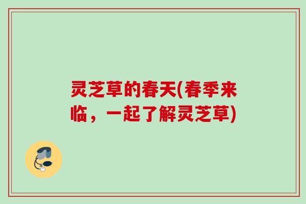 灵芝草的春天(春季来临，一起了解灵芝草)