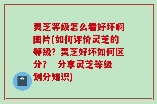 灵芝等级怎么看好坏啊图片(如何评价灵芝的等级？灵芝好坏如何区分？  分享灵芝等级划分知识)
