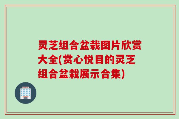 灵芝组合盆栽图片欣赏大全(赏心悦目的灵芝组合盆栽展示合集)
