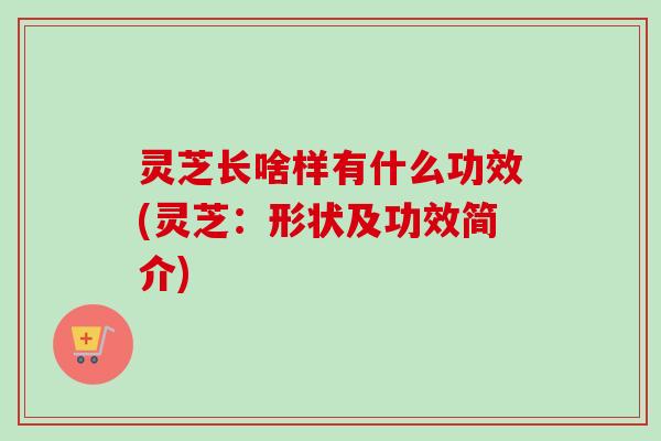 灵芝长啥样有什么功效(灵芝：形状及功效简介)