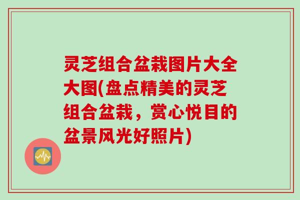 灵芝组合盆栽图片大全大图(盘点精美的灵芝组合盆栽,赏心悦目的盆景风光好照片) 灵芝组合盆栽图片大全大图(盘点精美的灵芝组合盆栽,赏心悦目的盆景风光好照片)