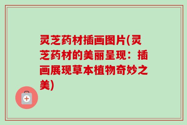 灵芝药材插画图片(灵芝药材的美丽呈现：插画展现草本植物奇妙之美)