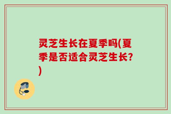 灵芝生长在夏季吗(夏季是否适合灵芝生长?) 灵芝生长在夏季吗(夏季是否适合灵芝生长?)