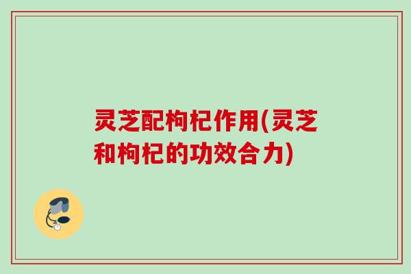 灵芝配枸杞作用(灵芝和枸杞的功效合力)