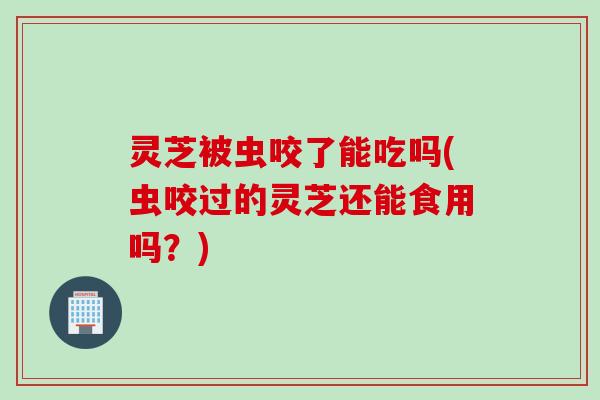 灵芝被虫咬了能吃吗(虫咬过的灵芝还能食用吗？)