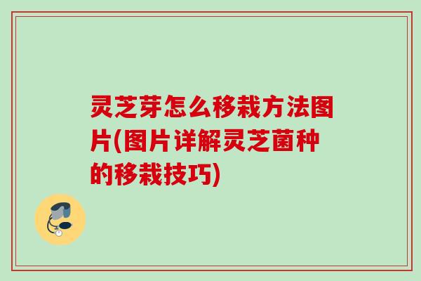 灵芝芽怎么移栽方法图片(图片详解灵芝菌种的移栽技巧)