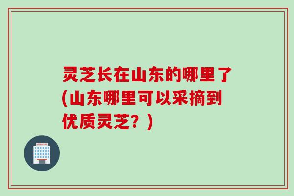灵芝长在山东的哪里了(山东哪里可以采摘到优质灵芝？)