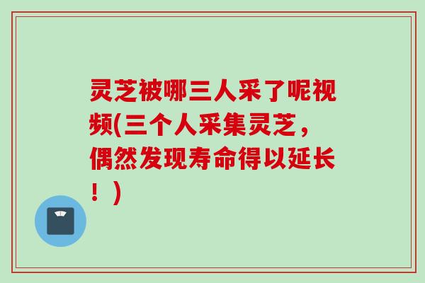 灵芝被哪三人采了呢视频(三个人采集灵芝，偶然发现寿命得以延长！)