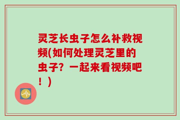 灵芝长虫子怎么补救视频(如何处理灵芝里的虫子？一起来看视频吧！)