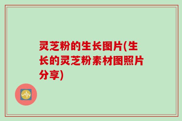灵芝粉的生长图片(生长的灵芝粉素材图照片分享)