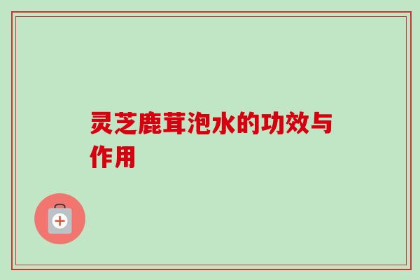 灵芝鹿茸泡水的功效与作用