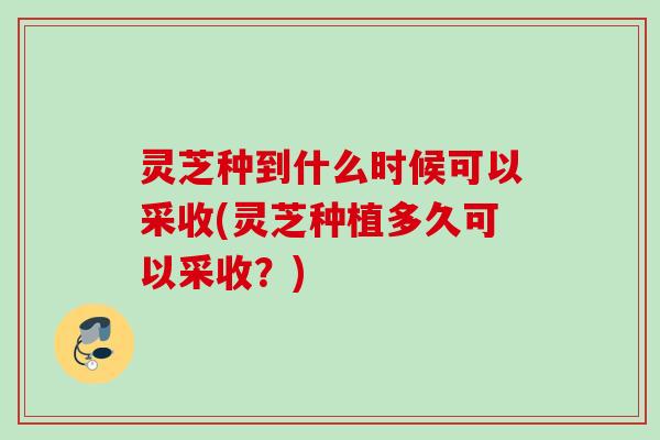 灵芝种到什么时候可以采收(灵芝种植多久可以采收?) 灵芝种到什么时候可以采收(灵芝种植多久可以采收?)