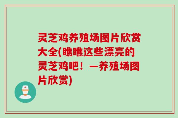 灵芝鸡养殖场图片欣赏大全(瞧瞧这些漂亮的灵芝鸡吧！—养殖场图片欣赏)
