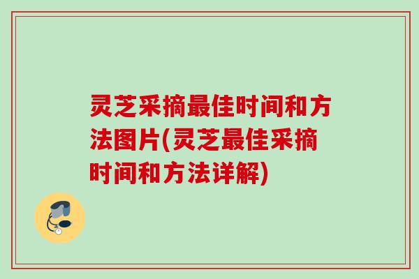 灵芝采摘最佳时间和方法图片(灵芝最佳采摘时间和方法详解)