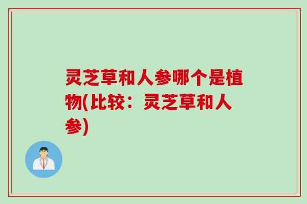 灵芝草和人参哪个是植物(比较：灵芝草和人参)