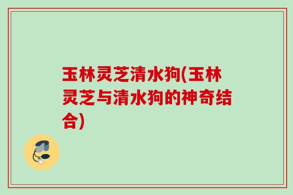 玉林灵芝清水狗(玉林灵芝与清水狗的神奇结合)
