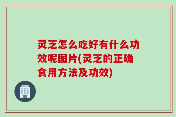 灵芝怎么吃好有什么功效呢图片(灵芝的正确食用方法及功效)