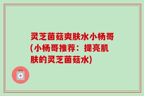灵芝菌菇爽肤水小杨哥(小杨哥推荐：提亮肌肤的灵芝菌菇水)