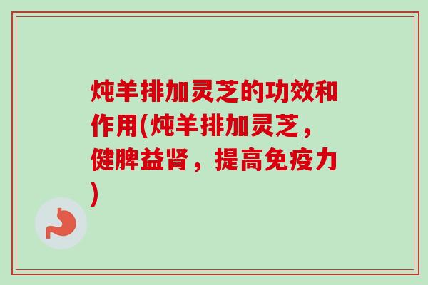炖羊排加灵芝的功效和作用(炖羊排加灵芝，健脾益肾，提高免疫力)