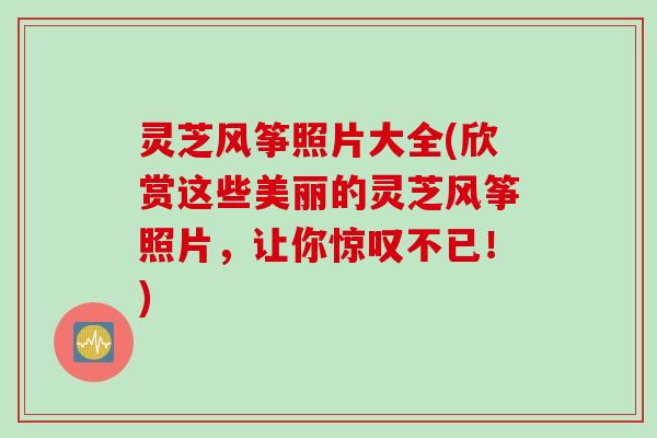 灵芝风筝照片大全(欣赏这些美丽的灵芝风筝照片，让你惊叹不已！)