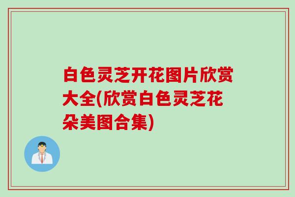 白色灵芝开花图片欣赏大全(欣赏白色灵芝花朵美图合集)
