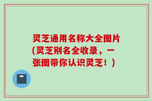 灵芝通用名称大全图片(灵芝别名全收录，一张图带你认识灵芝！)