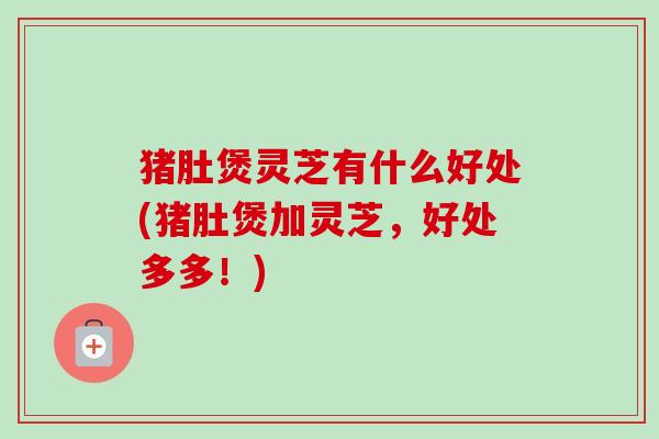 猪肚煲灵芝有什么好处(猪肚煲加灵芝，好处多多！)